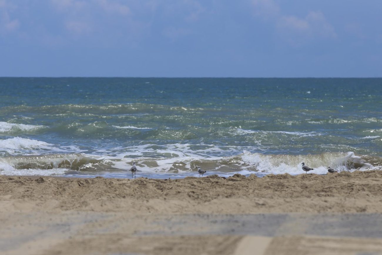 Feds to vote Thursday on renaming Boca Chica Beach to Cyber Beach