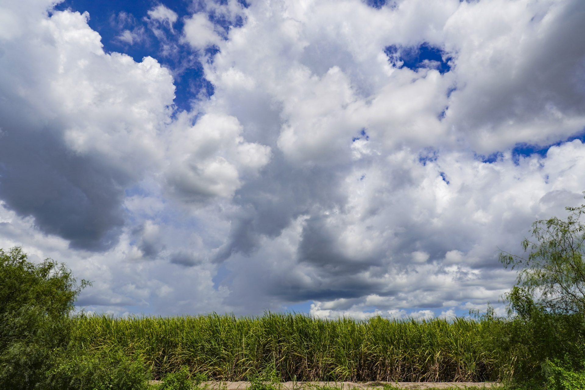 Hotter-than-normal outlook; recent rains shut down drought however