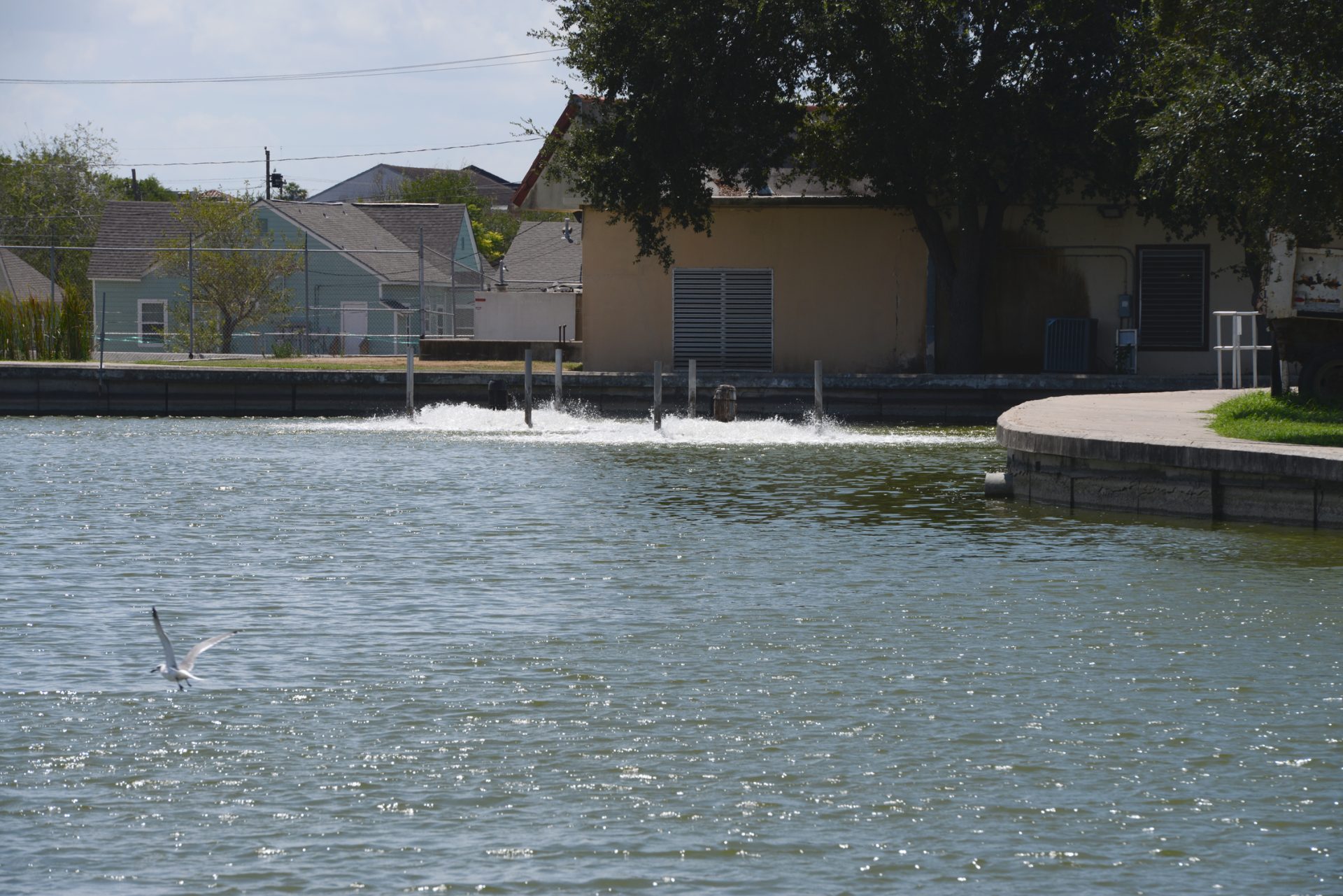 Harlingen could sell drinking water to proposed data center
