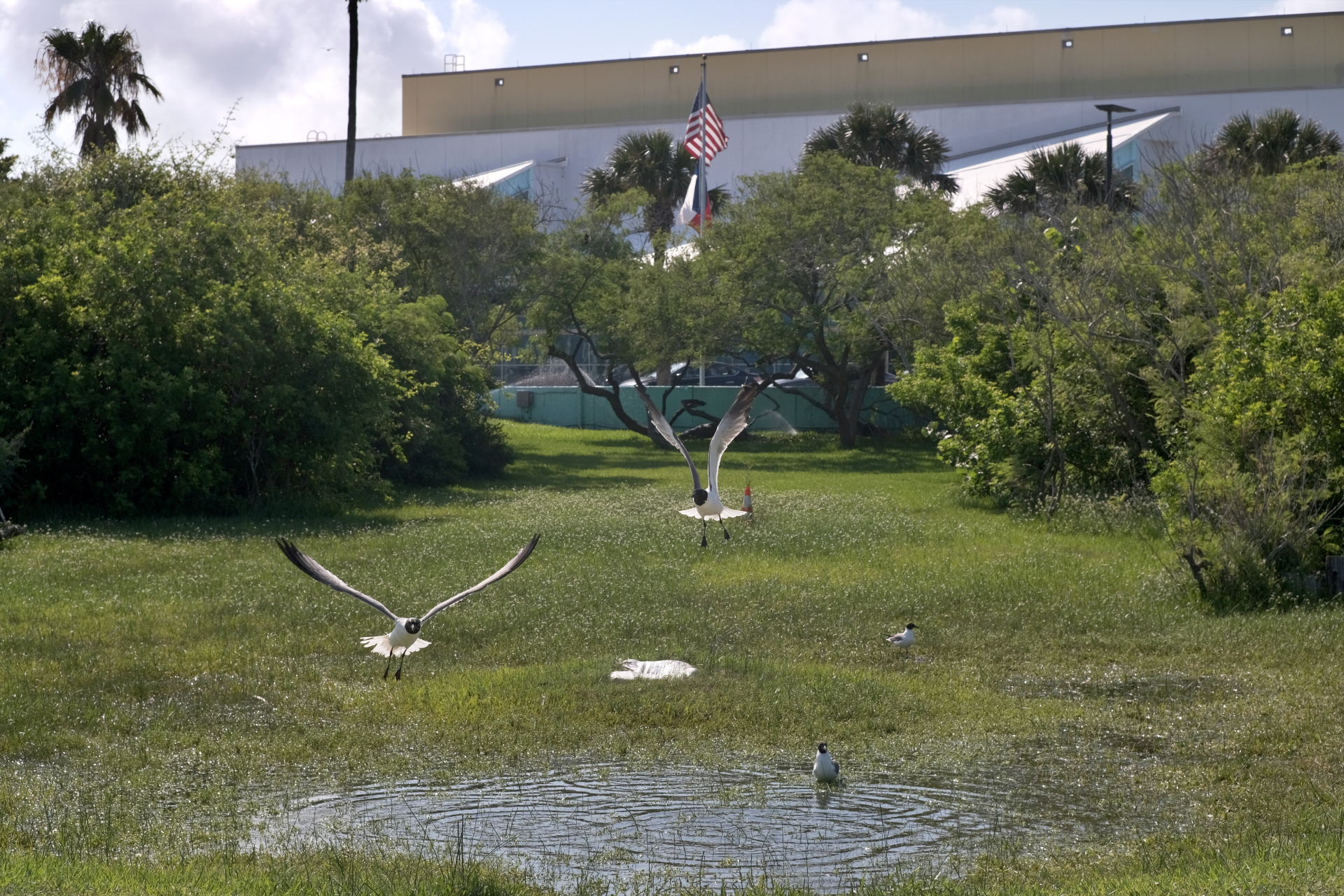 SPI seeks approval for new convention center expansion plans