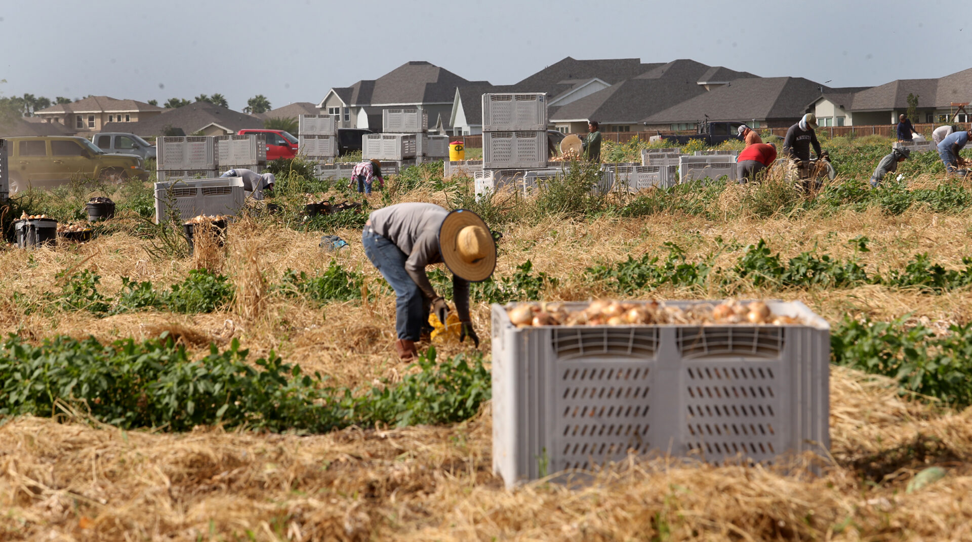 Parkinson’s disease is consistently linked to pesticide exposure. Farmworkers — and nearby communities — are at risk in Rio Grande Valley