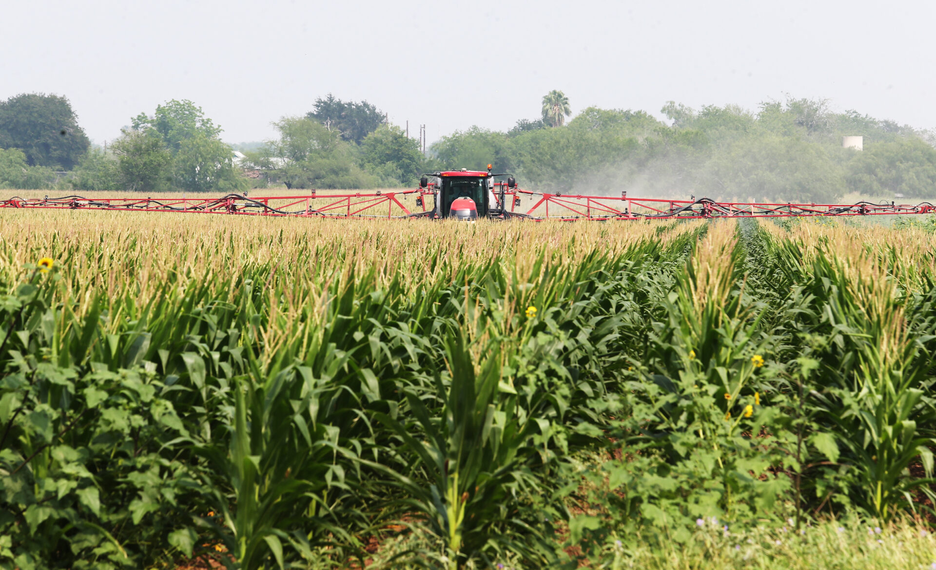 Editorial: Officials, ag industry need to weigh convenience against public safety risks