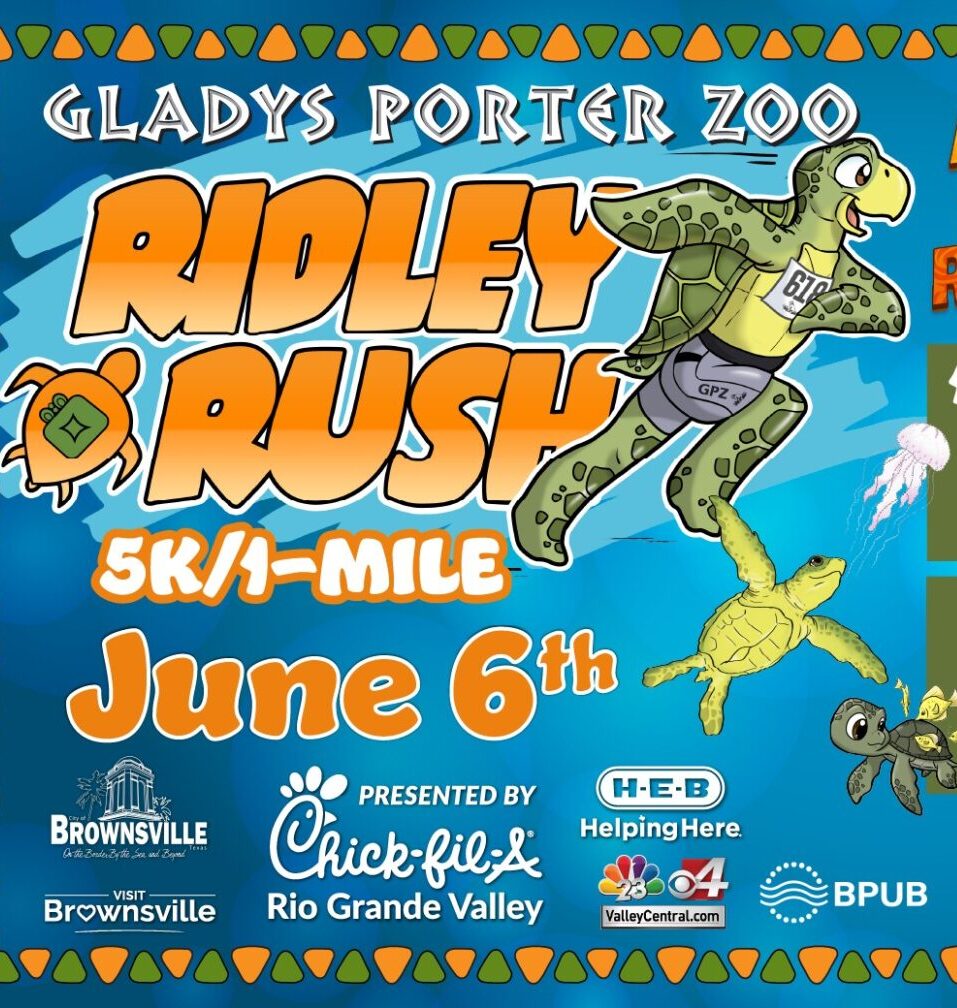 June 6th: Gladys Porter Zoo – Ridley Rush 5K/1 Mile Walk / Run